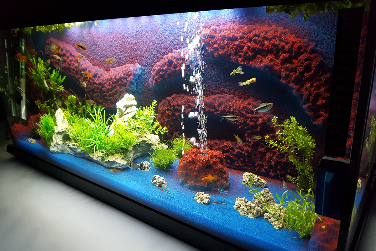 using plasti dip for fish tanks