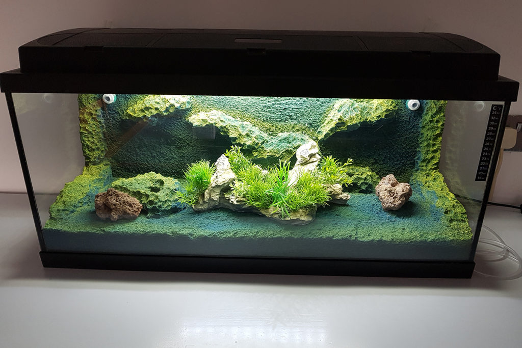 plasti dip aquarium sculpture